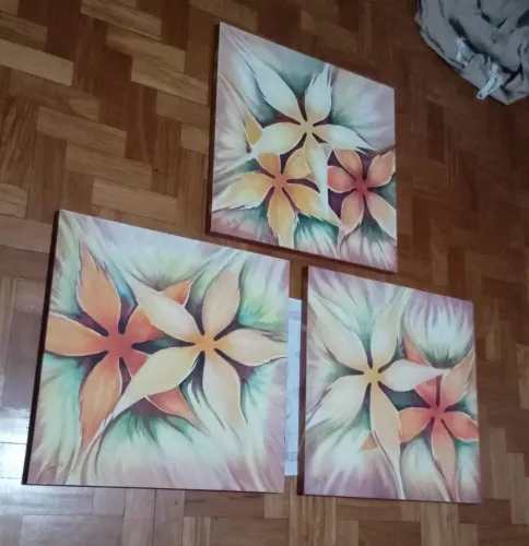 Quadros de flores 60x60cm , conjunto 3 quadros.