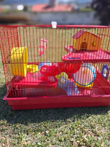 Gaiola hamster completa 2 andares
