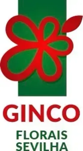 FLORAIS SEVILHA GINCO CLUB