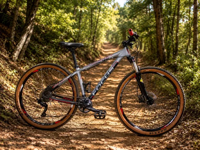 Bicicleta Aro 20 MTB
