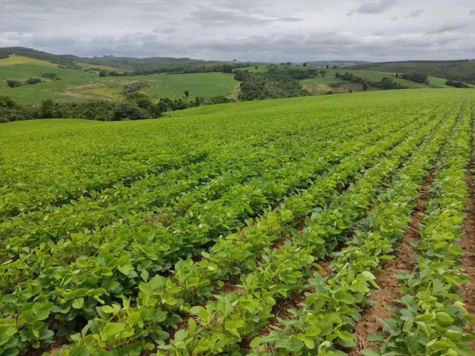 *EXCELENTE SÍTIO A VENDA NA REGIÃO DE SOROCABA-SP* ?? Área Total: 20 Alqueires Agricultura
