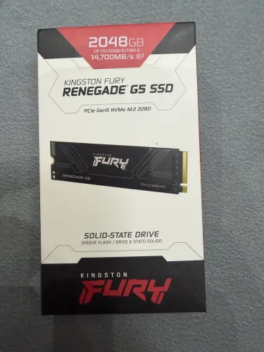 SSD Nvme 2tb Kingston FURY Renegade PCIe5 14k leitura 2TB