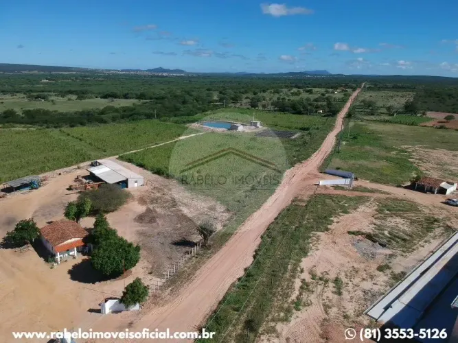Fazenda de Alto Padrão Produtivo Ibimirim/PE 478 Hectares.