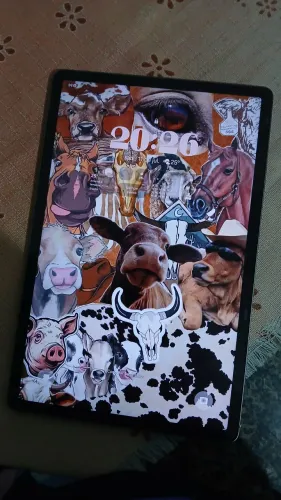 Tab S9 Fe+