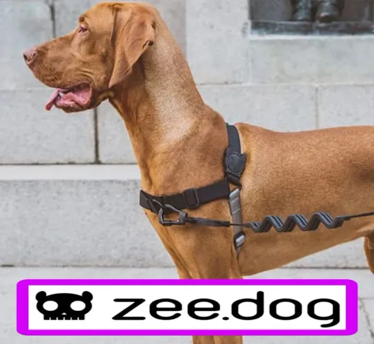 Kit ZeeDog Peitoral + Guia Cachorro (tam G) NOVOS