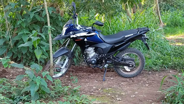 Moto boa