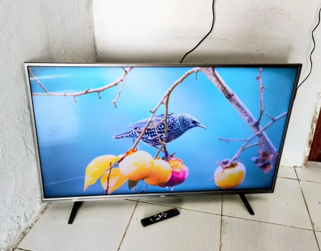 Tv 55 Philco smart 4k perfeita 