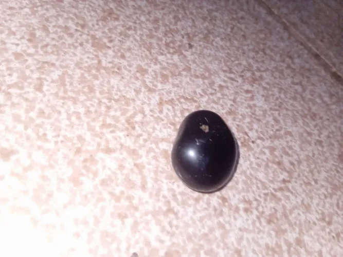 Vende-se pedra dama rara de se encontrar para colecionadores de pedra por apenas R$50