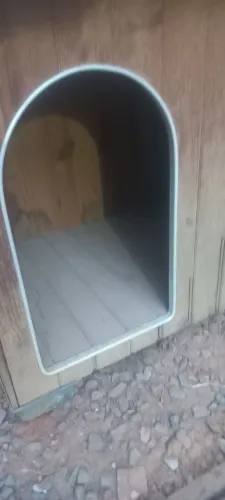 CASA DE CACHORRO POUCO USADA 550,00