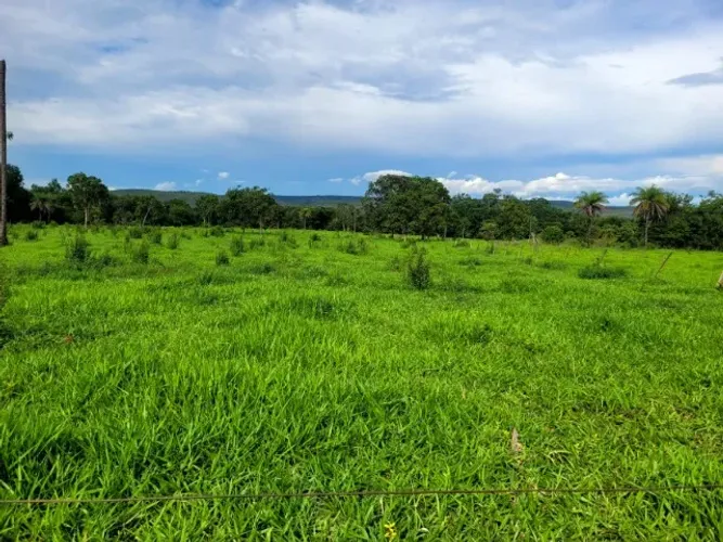Troco por imóveis em Brasilia DF - Sítio com 43 Ha em Unaí MG