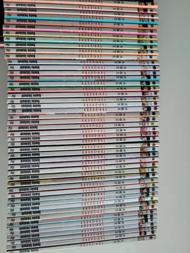 Mangá Inuyasha lote