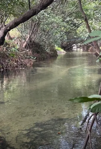 Vendo sítio 16 km de Boa Vista 