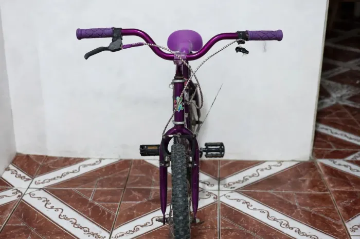 Bicicleta Aro 20 Feminina Flower Roxa - Infantil - Revisada