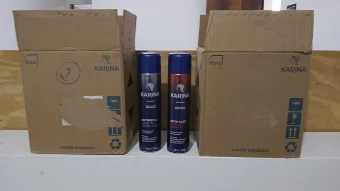 Fixador Karina Hair