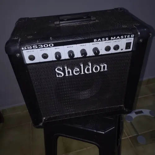 Amplificador de Contrabaixo Sheldon BSS 300