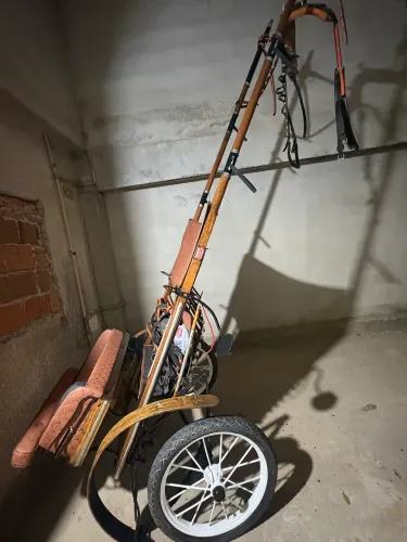Vendo charrete
