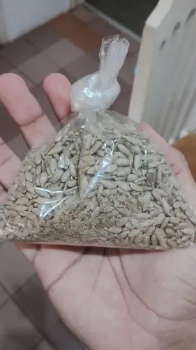 Sementes de Girassol Sem Casca