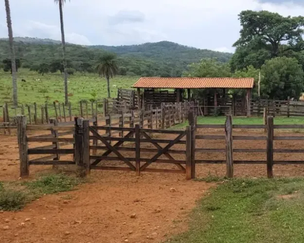 Fazenda 1.512 há, casa sede e de caseiro, nascentes, com acesso ao rio cipó.