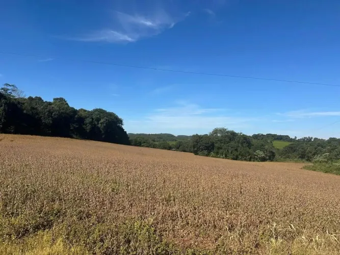 CHÁCARA COM 20 m² À VENDA, MARIÓPOLIS, PARANÁ