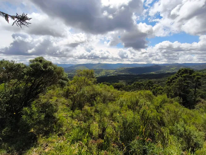 SÍTIO NA SERRA CATARINENSE 2 HECTARES- PERICÓ ENTRE URUBICI/SÃO JOAQUIM  