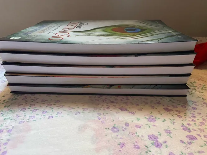 Irmãos Maddox  - Jamie McGuire 