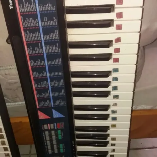 Teclado Musical Casio CA100