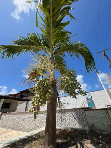 ALUGO - CASA NA ILHA - PILAR - ILHA DE ITAMARACÁ