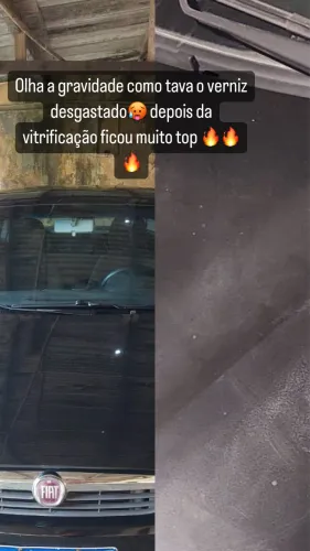 Vitrificação 