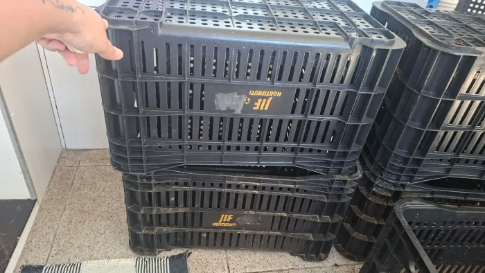 Caixas plásticas