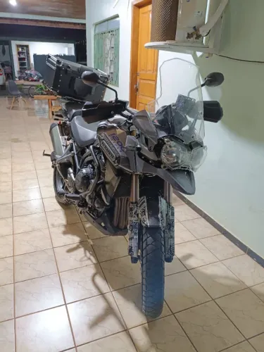 Tiger Explorer
