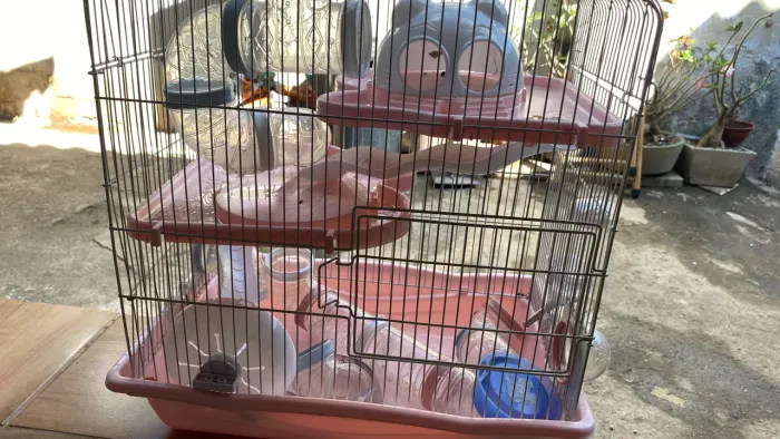GAIOLA PARA HAMSTER SEMINOVA