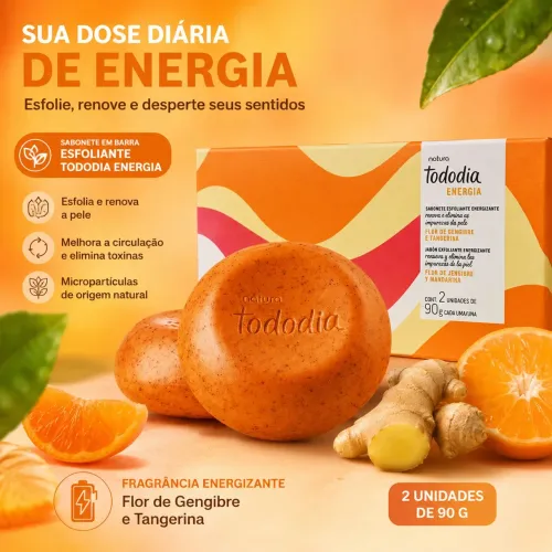 Todo dia sabonete natura