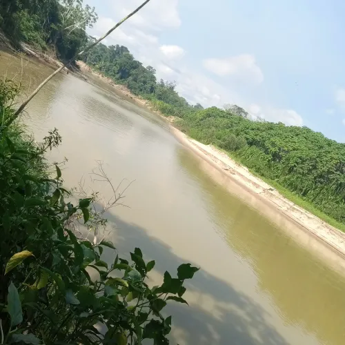 Vendo terra preservada
