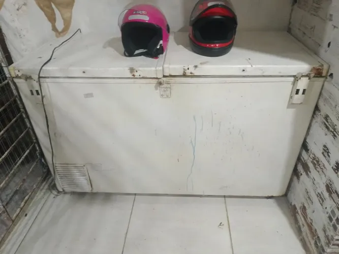 Frizer parou o ventilador 