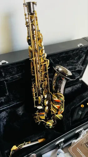 Sax alto eagle sa 500 Grafite Novinho