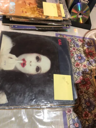 Vinil Gal Costa