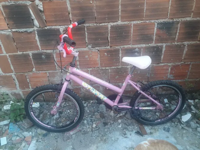 Bicicleta infantil feminina