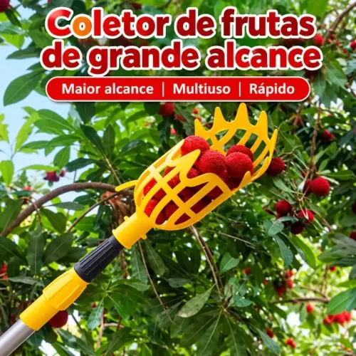 Colhedor de Frutas em arvores