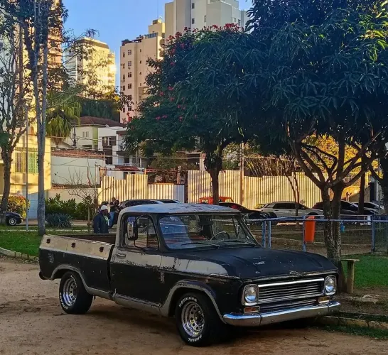 Chevrolet C-10 2.5/4.1 1977