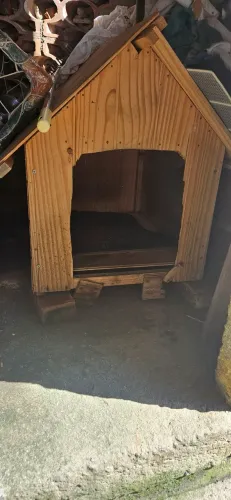 Casa Cachorro
