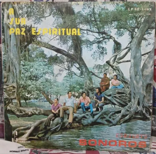 LP GRUPO SONOROS - SUA PAZ - GOSPEL RARO - 130