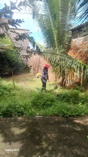 Jardineiro disponível 