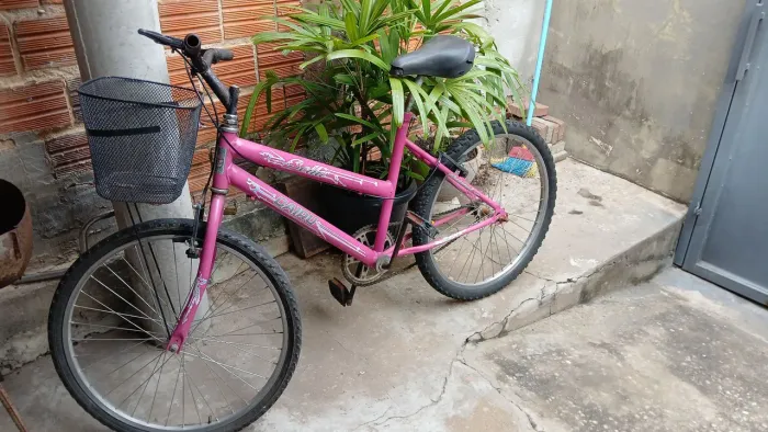 Bicicleta