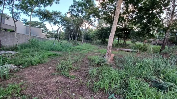 Terreno em Condomínio para Venda em Senador Canedo, Parque Residencial Morumbi