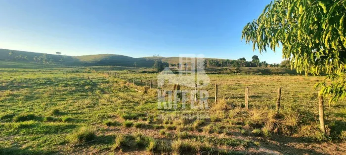 Fazenda com 3 dormitórios à venda, 1210000 m² por R$ 6.000.000,00 - Reginópolis - Silva Ja
