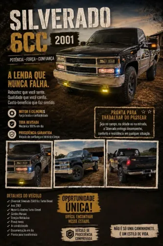 Chevrolet Silverado D20/ Rodeio 4.2 TB Diesel 2001