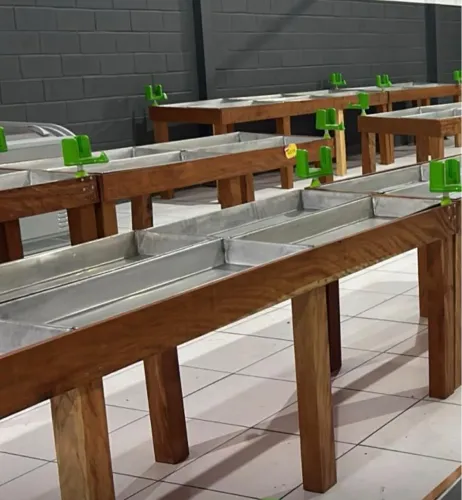 Banca para Hortifruti