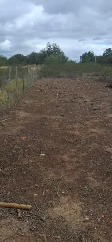 TERRENO À VENDA - POVOADO RIO JARDIM - PETROLINA/PE - 23.5m DE FRENTE x 90m DE LARGURA