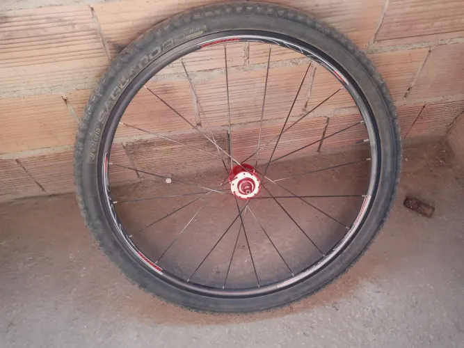 Roda 29 vicinitech
