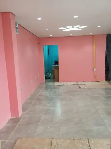 Pintor profissional 